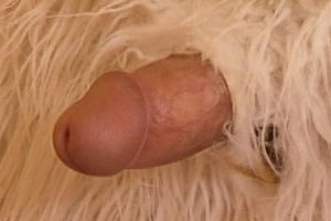 美国 xxxxxx
