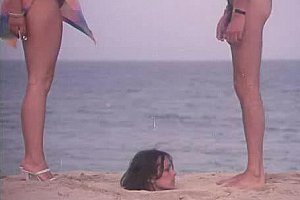 《日本人妻的滋味》